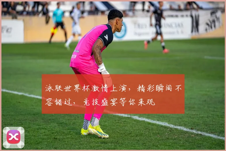泳联世界杯激情上演，精彩瞬间不容错过，竞技盛宴等你来观