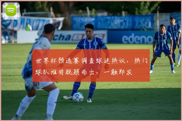 世界杯预选赛调查球迷热议，热门球队谁将脱颖而出，一触即发
