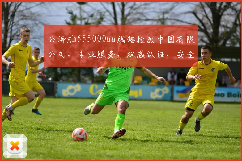 公海gh555000aa线路检测中国有限公司，专业服务，权威认证，安全可靠，值得信赖，三重保障