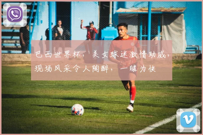 巴西世界杯，美女球迷激情助威，现场风采令人陶醉，一睹为快